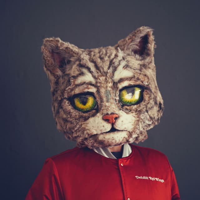 Kool Kat