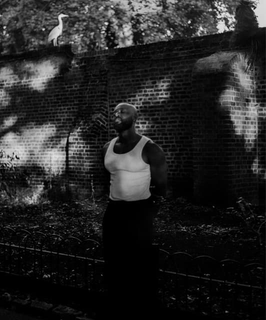 Kwaku Asante