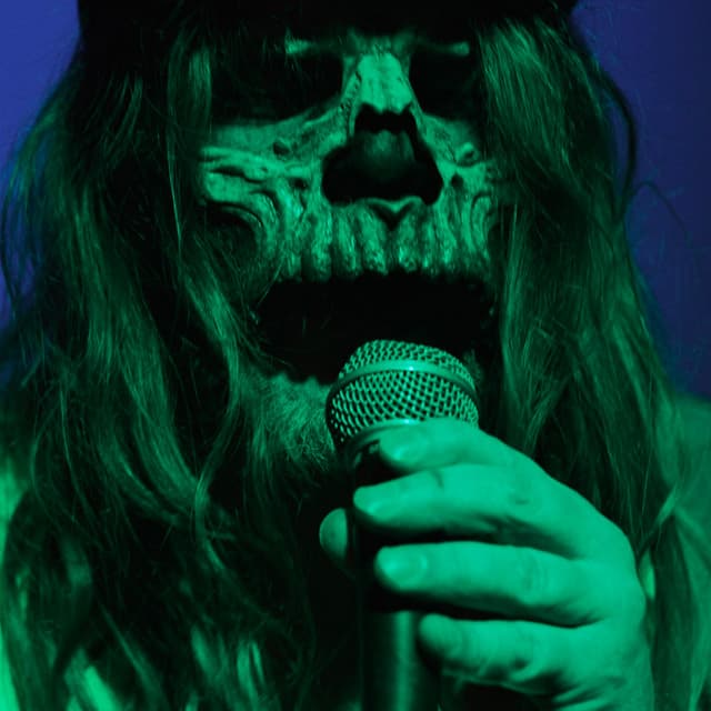 Leevil