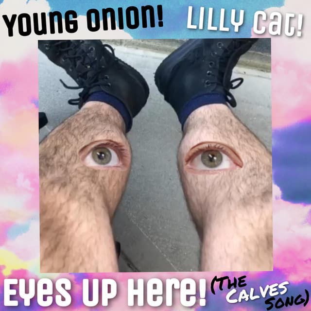 Lilly Cat