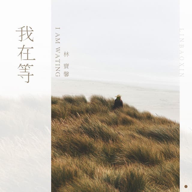 林寶馨