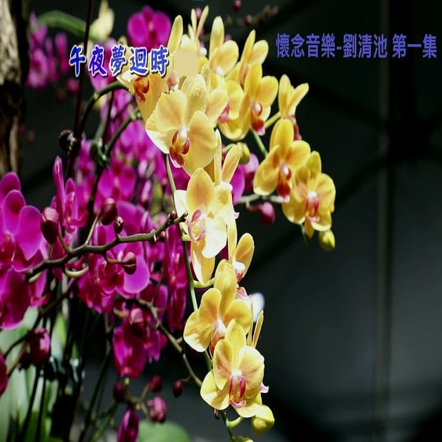 劉清池