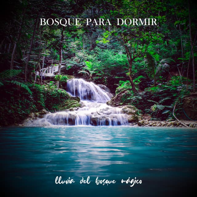 Lluvia del Bosque Mágico