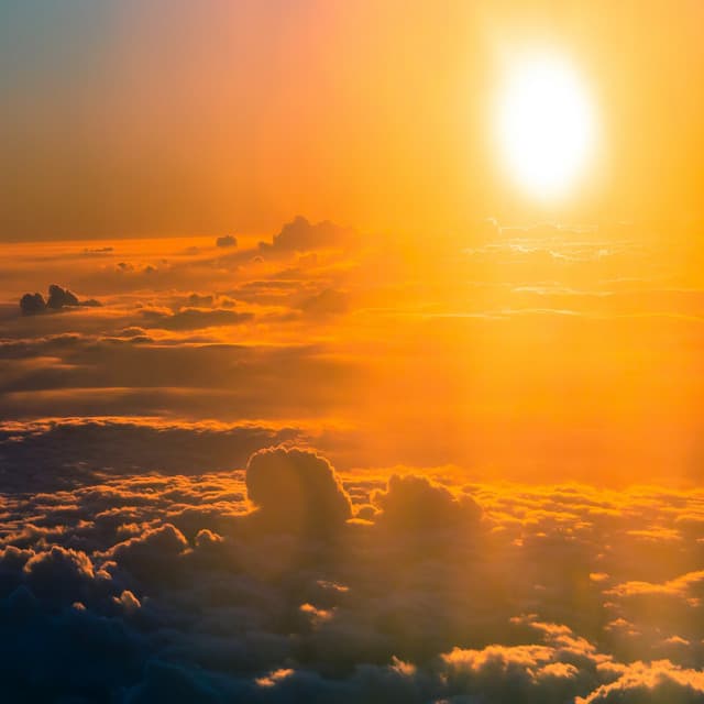 Los Hijos del sol