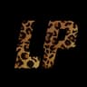 LP