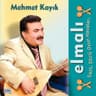 Mehmet Kayık