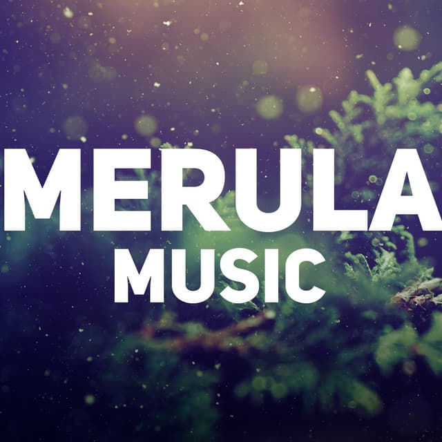 Merula Music