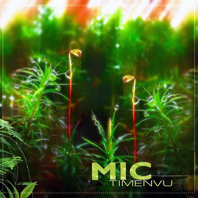 Mic