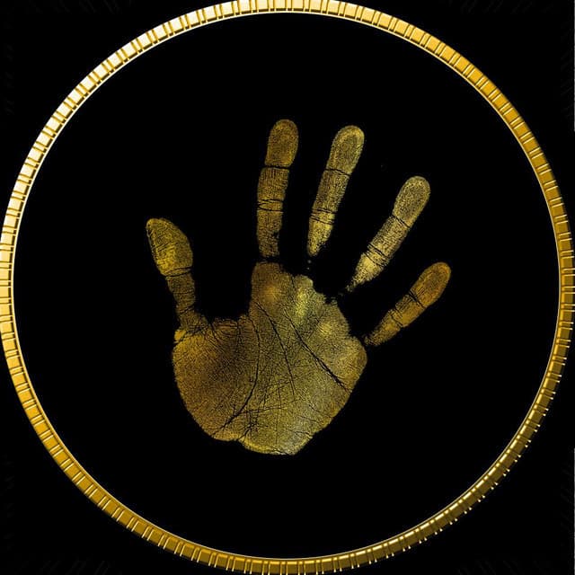 MIDAS