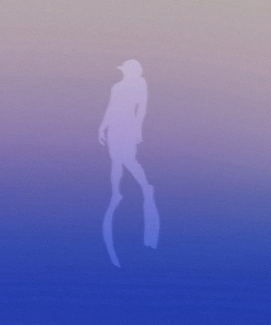 Midnight Diver