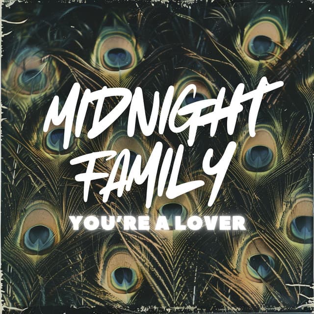 Midnight Family