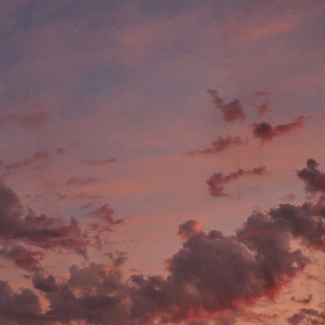 Midnight Mind