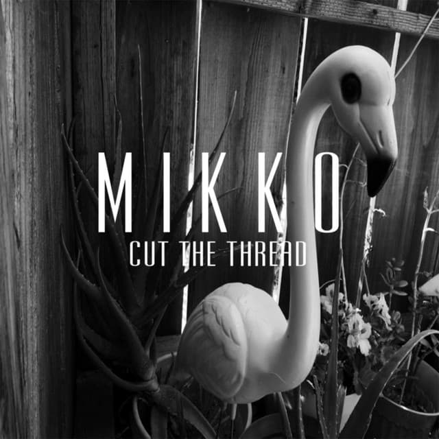 Mikko