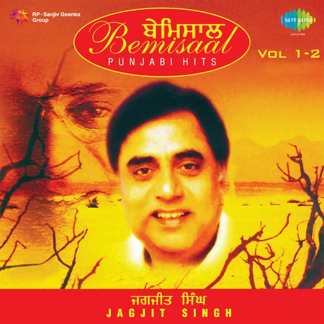 Minoo Purushottam