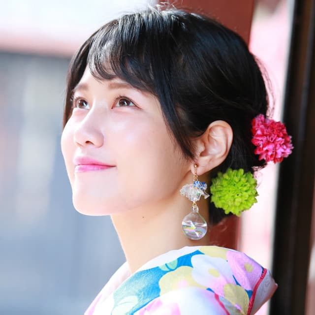 MION