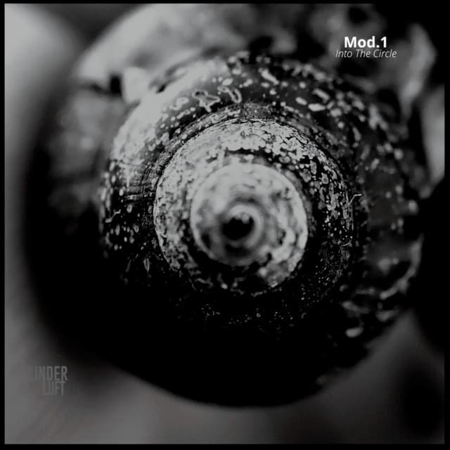 Mod.1