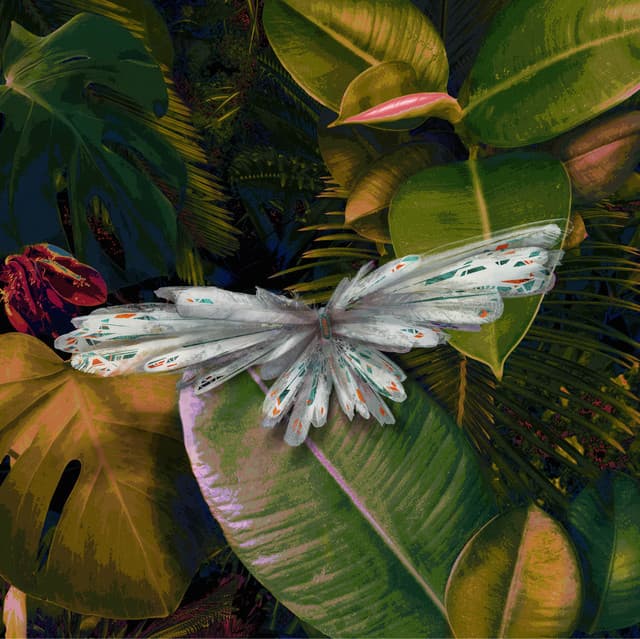 Montezuma