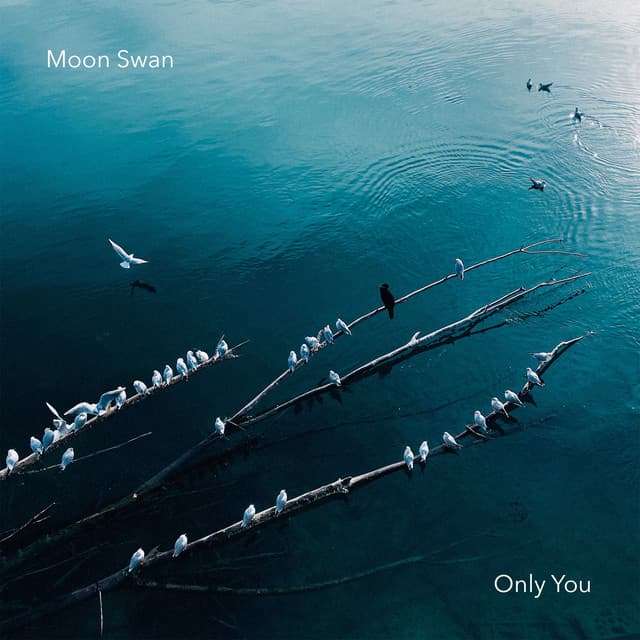 Moon Swan
