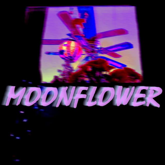 Moonflower