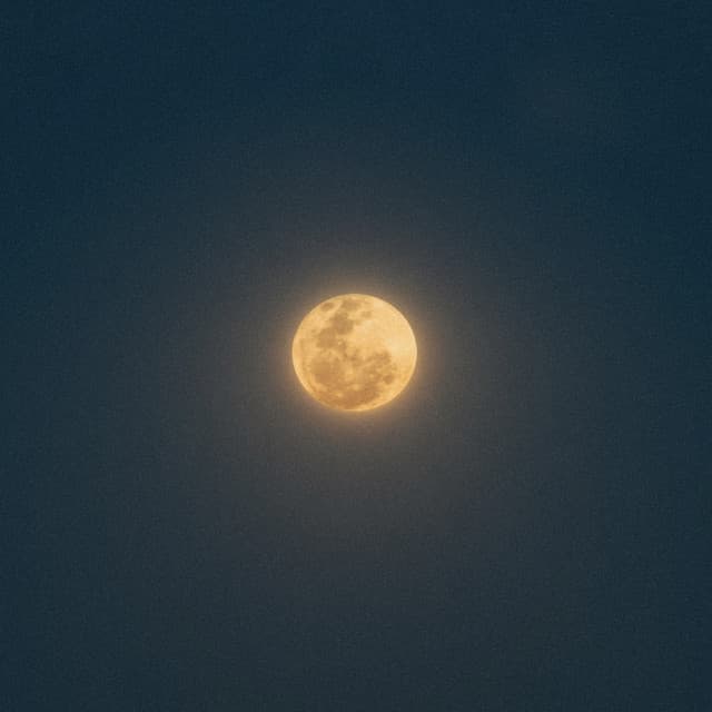 Moonlab