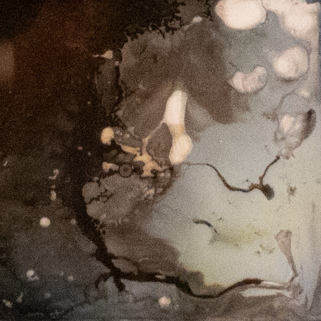 Moonlet