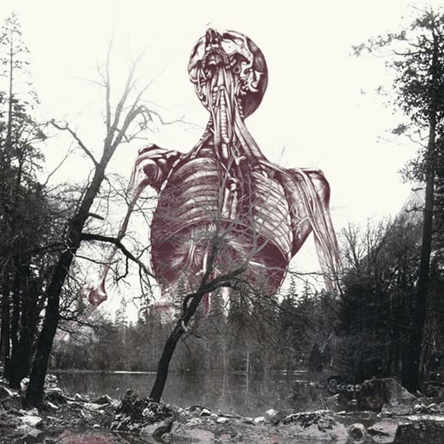 Mortuus