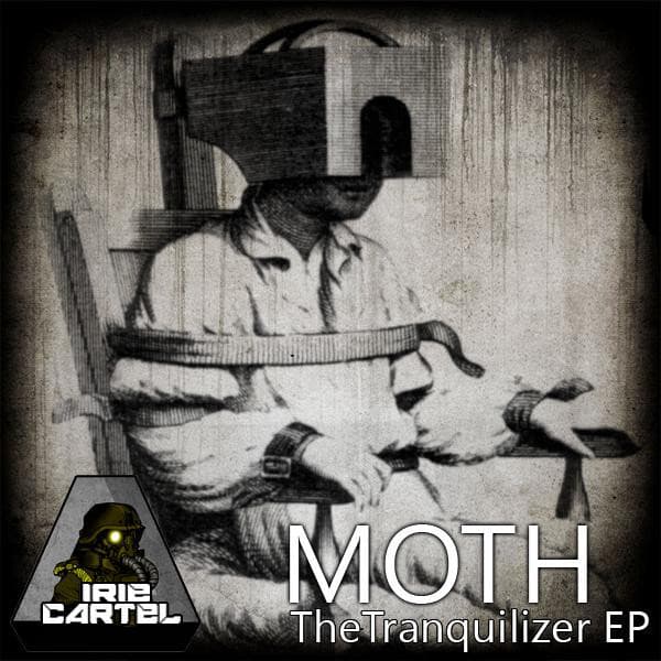 Moth