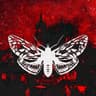 Moth