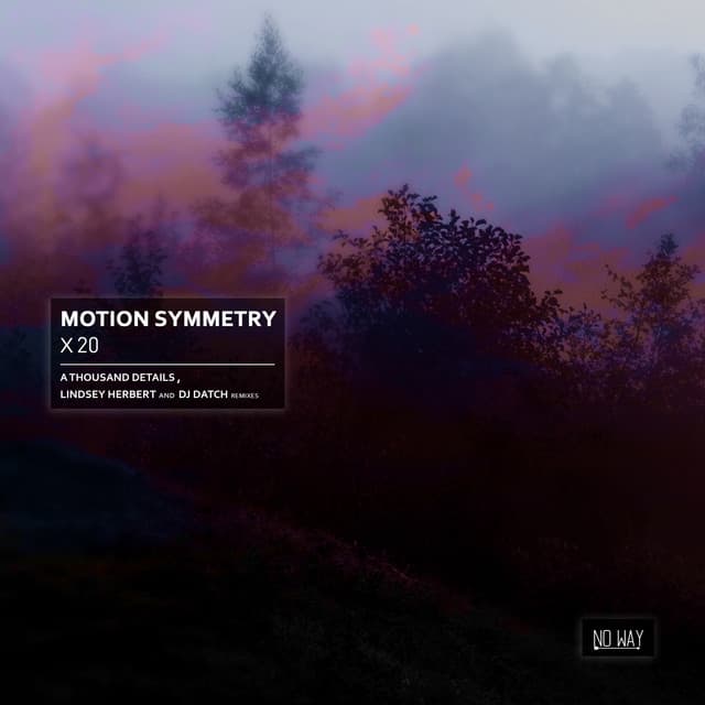 Motion Symmetry