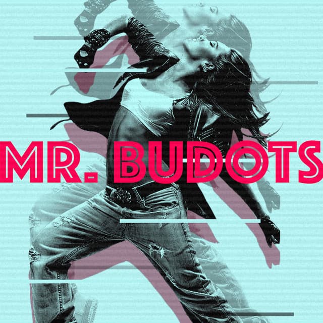 Mr. Budots