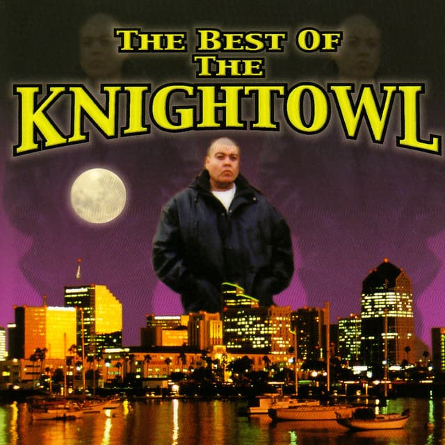 Mr. Knightowl