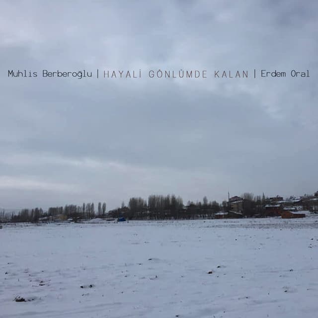 Muhlis Berberoğlu