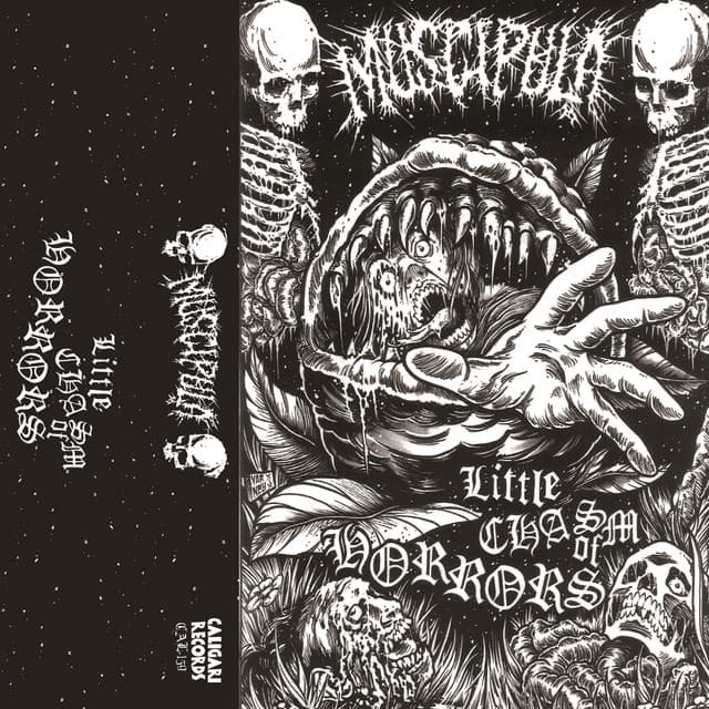 Muscipula