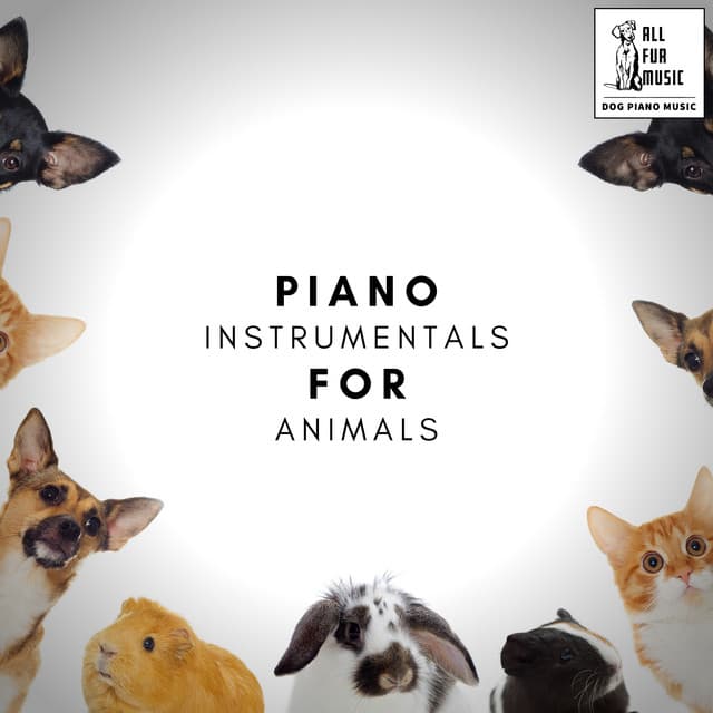 Music For Cats To Sleep To