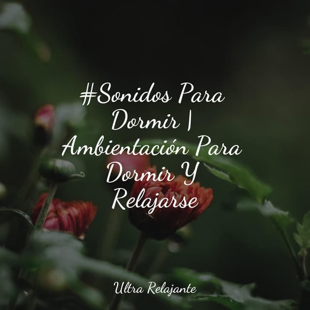 Musica Para Meditacion Profunda