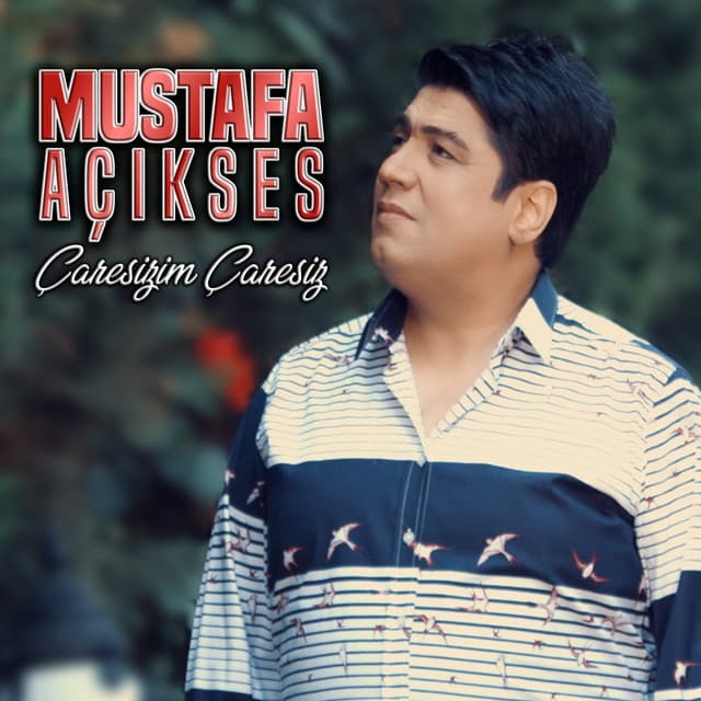Mustafa Açıkses