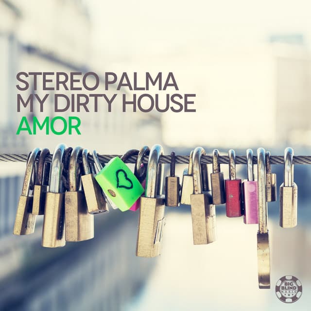My Dirty House