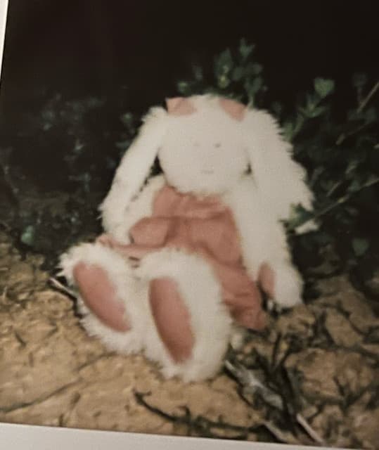 my stuffed rabbit