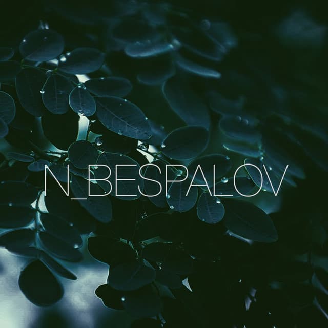N_Bespalov
