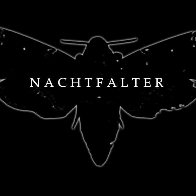 Nachtfalter