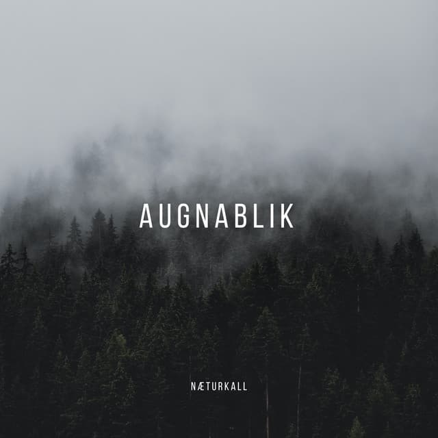 Næturkall