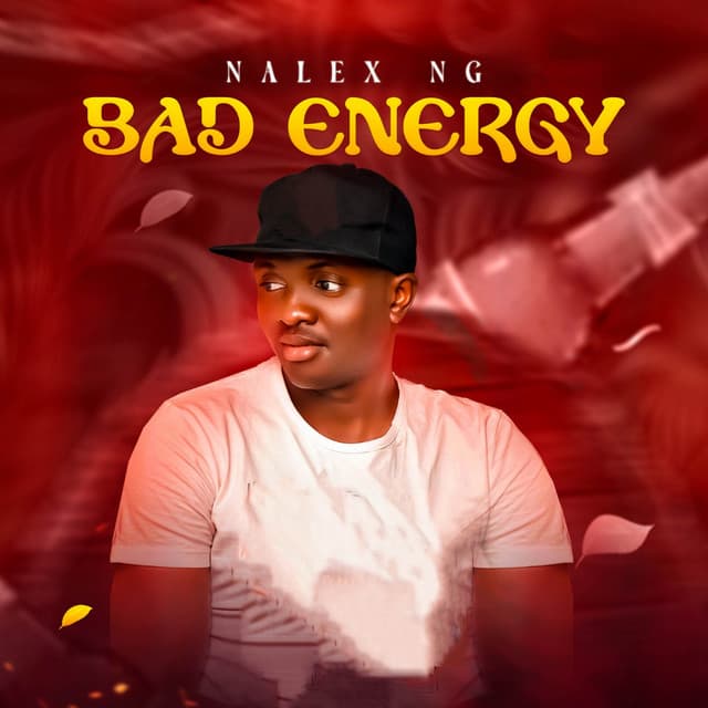 Nalex NG