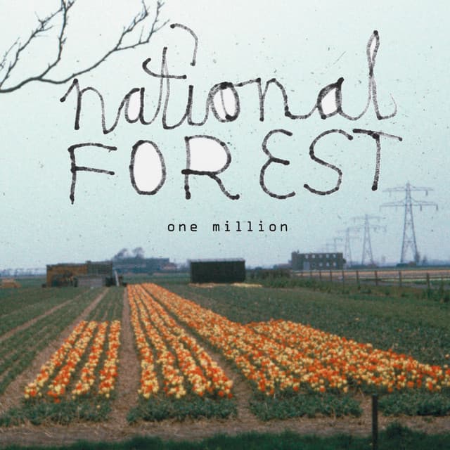 National Forest