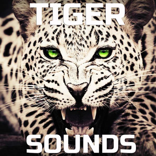 Nature Sounded
