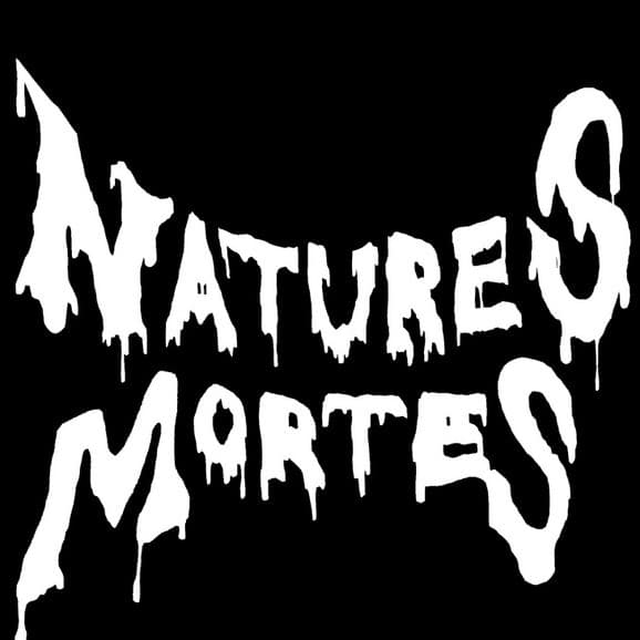 Natures Mortes