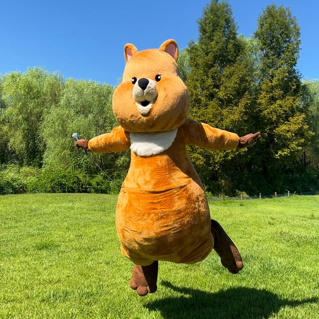 NavyQuokka