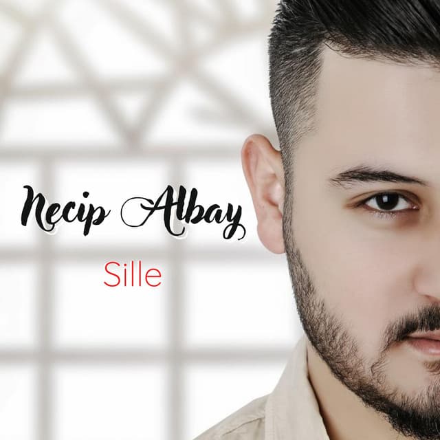 Necip Albay