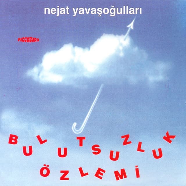 Nejat Yavaşoğulları
