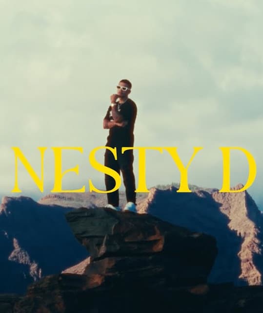 Nesty D