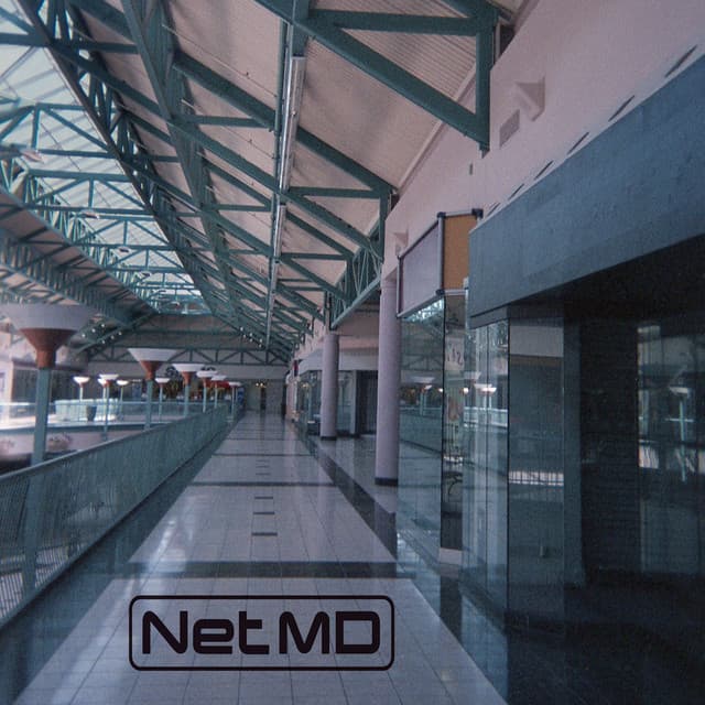 NetMD